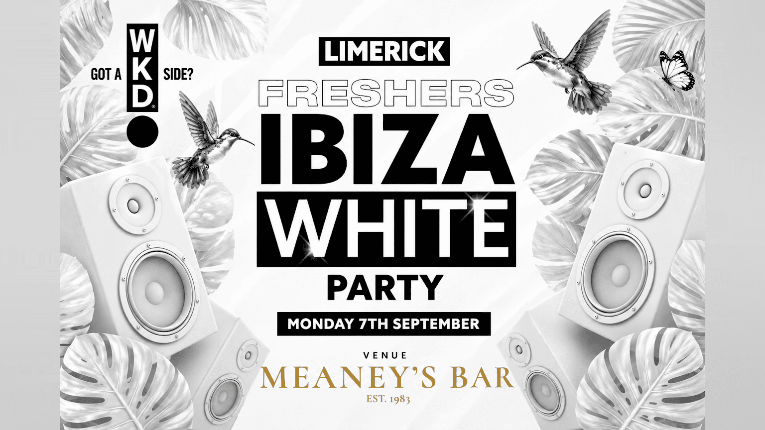 Limerick Freshers Ibiza White Party 2026 event image
