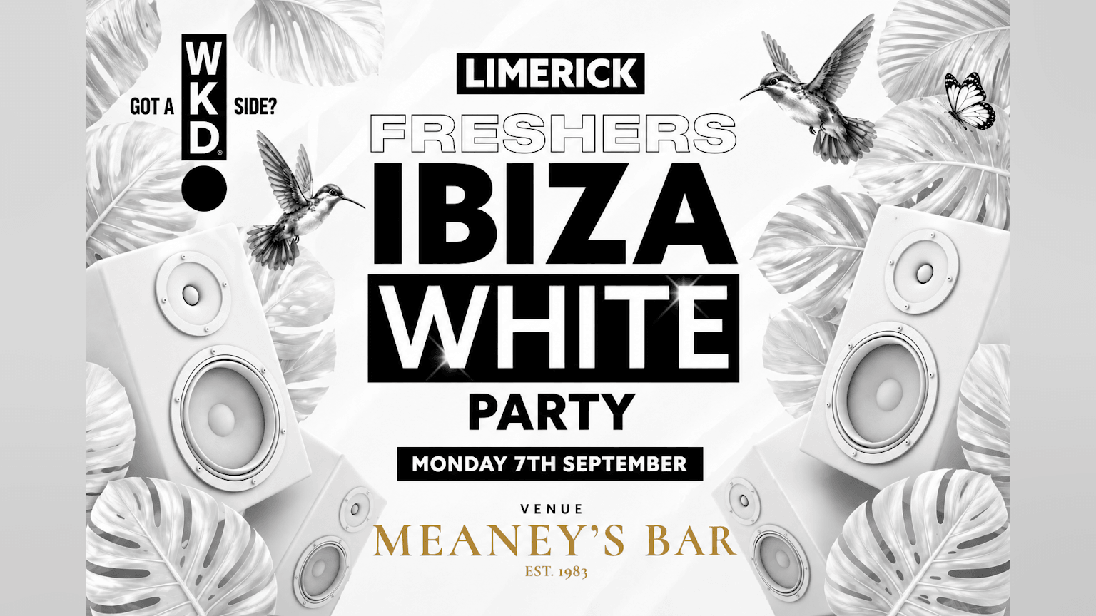 Limerick Freshers Ibiza White Party 2026 event poster